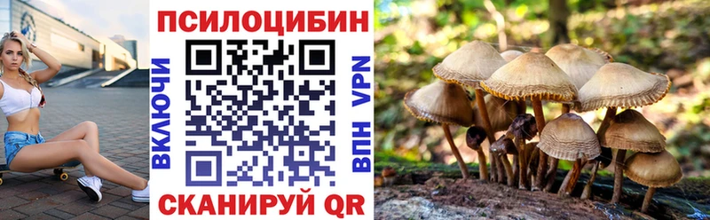 Галлюциногенные грибы MAGIC MUSHROOMS  Купить где  Михайловск 